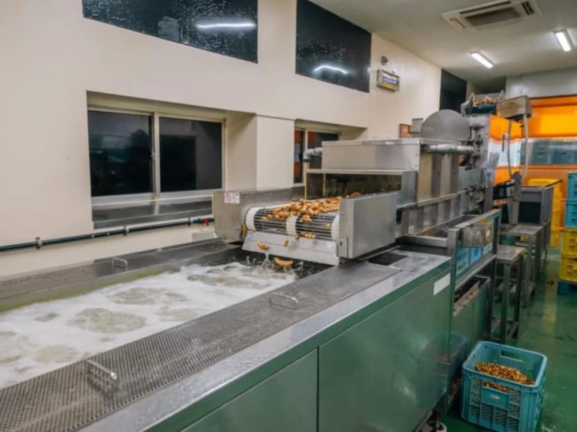Kangen Ukon manufacturing — step 04: High-pressure rinse