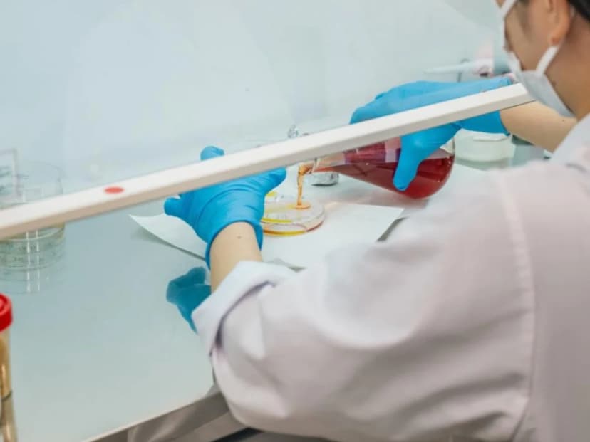 Kangen Ukon manufacturing — step 10: Microbiological and physicochemical testing