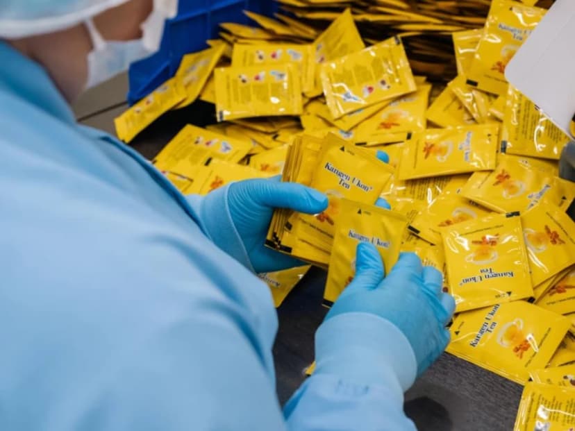 Kangen Ukon manufacturing — step 11: Tea processing and PTP encapsulation